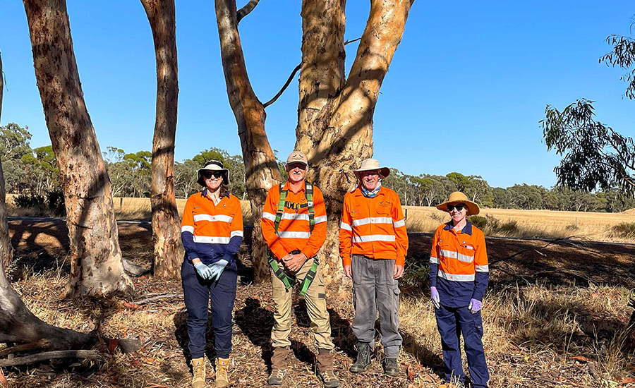 Arc assists with installation of ‘cockatubes’ teaser