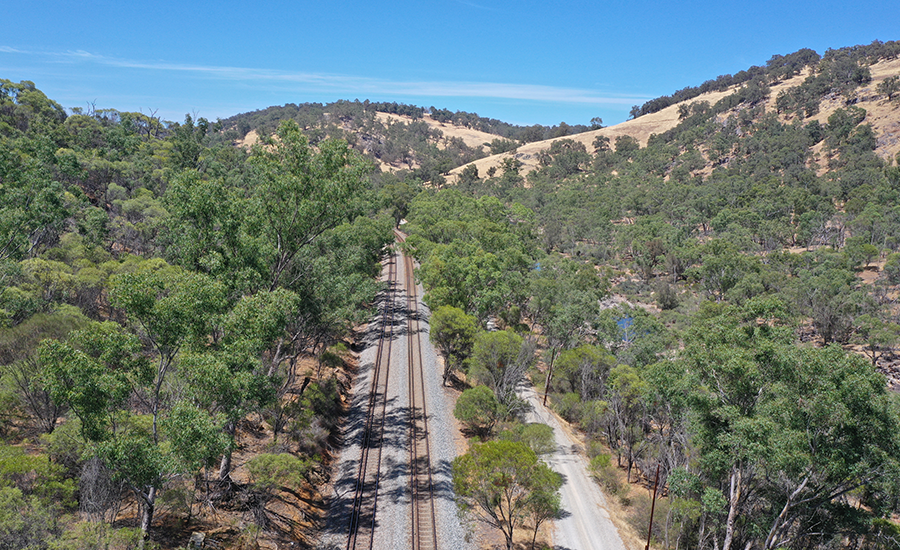 Arc delivers its Annual Sustainability Report  teaser