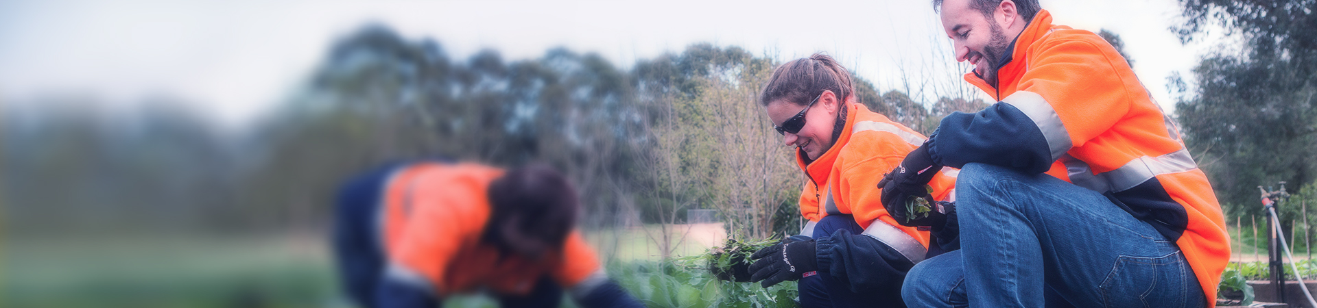 Joining forces in Merredin to open new nature park