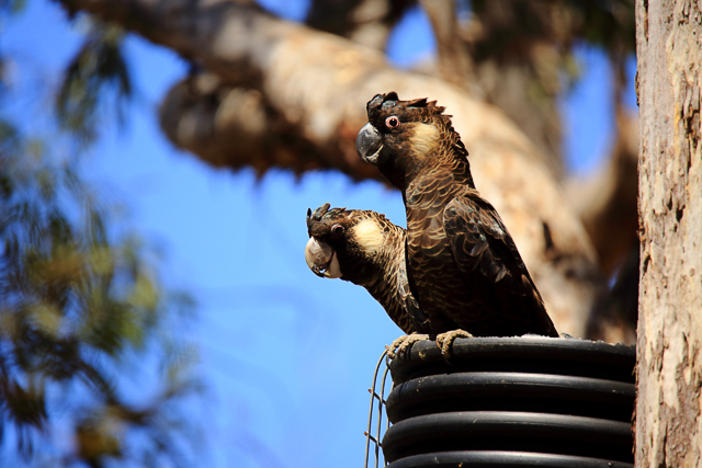 RDD_79571.jpg RDD_79571.jpg